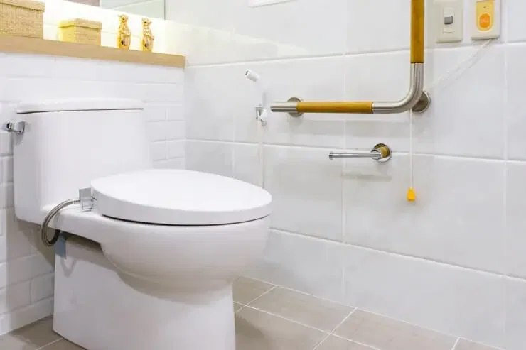toilet elderly disabled 29285 240