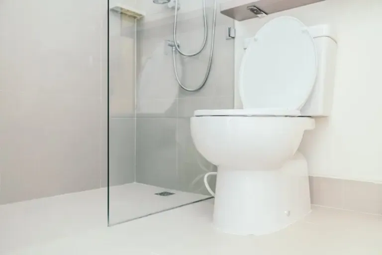 Toilet and walk-in shower in a California home showing ADA-compliant residential bathroom layout